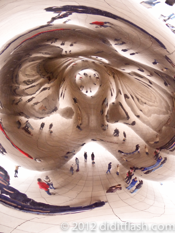 The Underside of The Bean